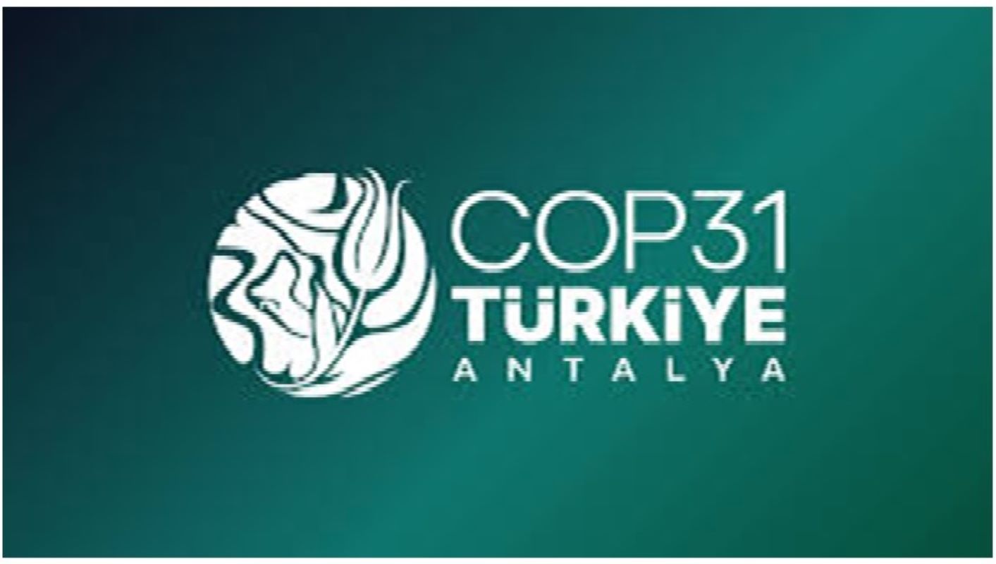 COP31 co-presidency of Turkey and Australia proposed a global target to increase electricity’s share in final energy demand to 35% by 2035